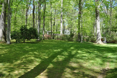 BACK%20YARD%20APRIL%2026
