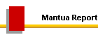 Mantua Report